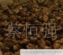 供应干香菇