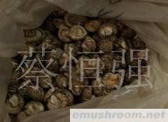 供应干香菇