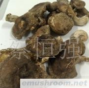 供应干香菇