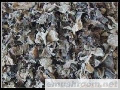 供应黑木耳,椴木生长黑木耳