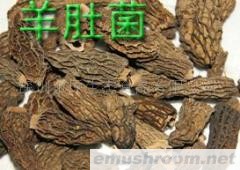 供应ManBetX体育干片