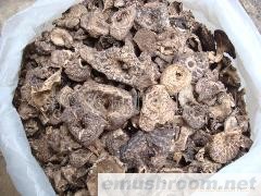 批发云南特产黑虎掌菌干品  野生菌 牛肝菌 Manbetx体育手机版V17版本发布.官网安卓网.香港