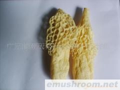 供应野生竹荪,Wild bamboo Sun,竹荪(图)