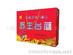 供应原野野生台蘑