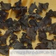 供应椴木黑木耳