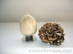 供应灰树花粉(舞茸粉)