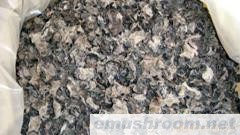 批发供应东北木耳