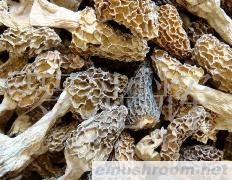 供应Manbetx体育手机版推荐A9版本