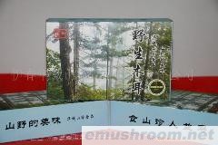 供应野生黑木耳