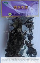 供应木耳、椴木木耳子实体