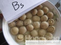 供应出口蘑菇