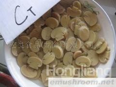 供应出口蘑菇