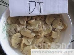 供应出口蘑菇