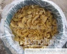 供应出口蘑菇