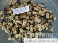 供应出口蘑菇