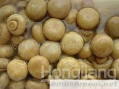 供应出口蘑菇