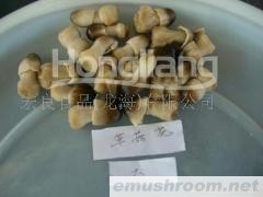 供应出口蘑菇