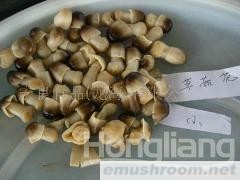供应出口蘑菇