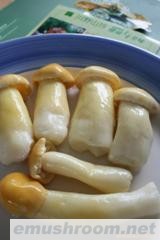 供应盐渍大球盖菌(图)