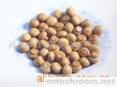 供应双孢菇