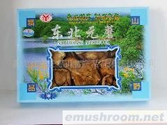 供应东北元蘑