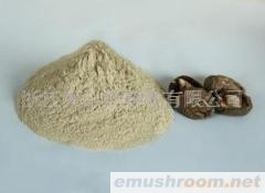 供应香菇粉(图)