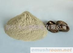 供应香菇粉(图)