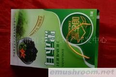 供应野生黑木耳