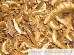 供应各等级黄牛肝菌干片