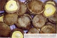 供应一批质量较好的光面菇(图)