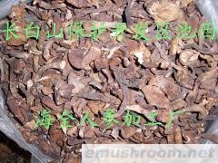 供应长白山野生蘑菇