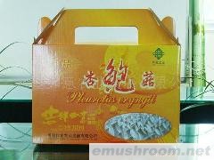 供应5斤礼品杏鲍菇