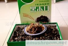 供应野生黑木耳