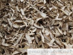 供应香菇片