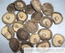 供应干香菇
