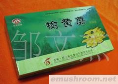 供应榆黄蘑  蘑菇 土特产 东北特产