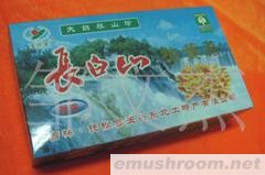 供应榆黄蘑  蘑菇 土特产 东北特产