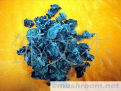 供应木耳 蘑菇 东北特产