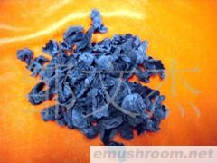 供应木耳 蘑菇 东北特产