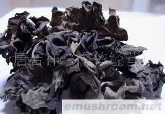 供应椴木黑木耳