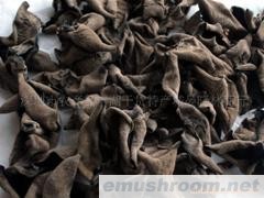 批发供应香菇木耳