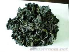 供应黑木耳(图)