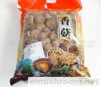 供应广西香菇