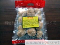 供应猴头菇