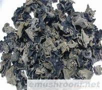 供应Manbetx体育手机版推荐A9版本，榛蘑，松茸，木耳，蕨菜，薇菜，刺嫩芽