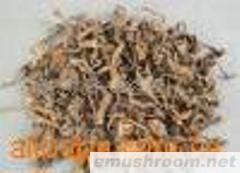 供应Manbetx体育手机版推荐A9版本，榛蘑，松茸，木耳，蕨菜，薇菜，刺嫩芽