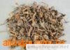 供应Manbetx体育手机版推荐A9版本，榛蘑，松茸，木耳，蕨菜，薇菜，刺嫩芽