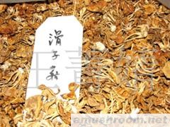 批发供应东北特产滑子菇