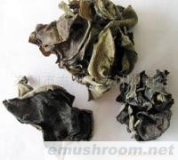 供应木耳