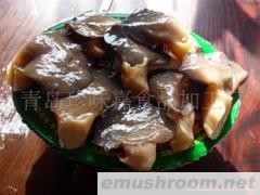供应盐渍蘑菇